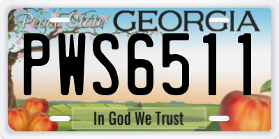GA license plate PWS6511
