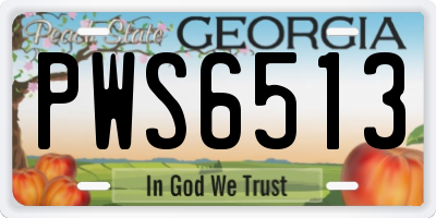 GA license plate PWS6513