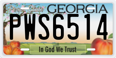GA license plate PWS6514