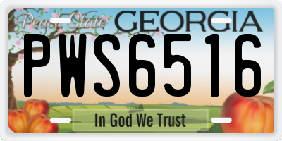 GA license plate PWS6516