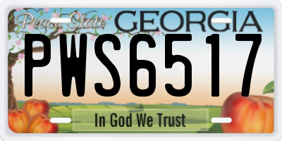 GA license plate PWS6517