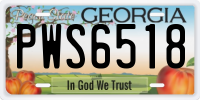GA license plate PWS6518