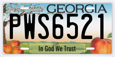 GA license plate PWS6521
