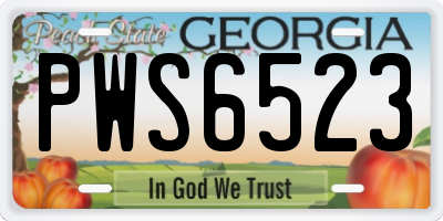 GA license plate PWS6523