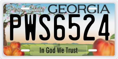 GA license plate PWS6524