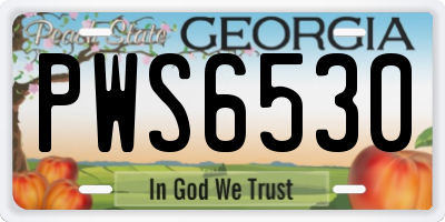 GA license plate PWS6530