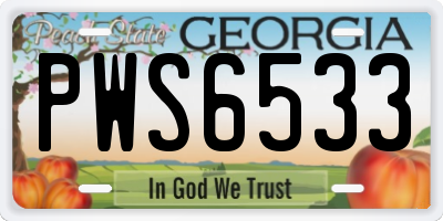 GA license plate PWS6533