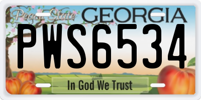 GA license plate PWS6534