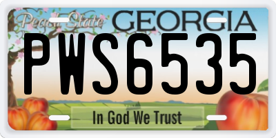 GA license plate PWS6535