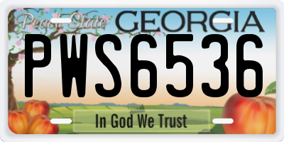 GA license plate PWS6536