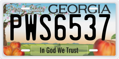 GA license plate PWS6537