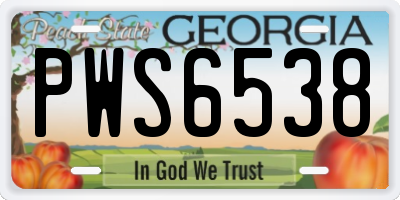 GA license plate PWS6538