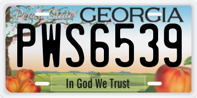 GA license plate PWS6539