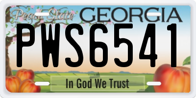 GA license plate PWS6541