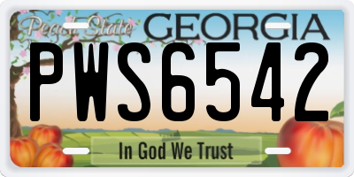 GA license plate PWS6542