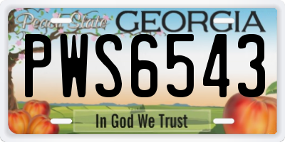 GA license plate PWS6543
