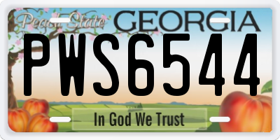 GA license plate PWS6544
