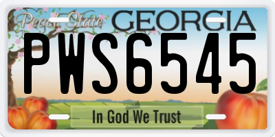 GA license plate PWS6545