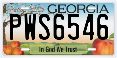GA license plate PWS6546