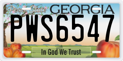 GA license plate PWS6547
