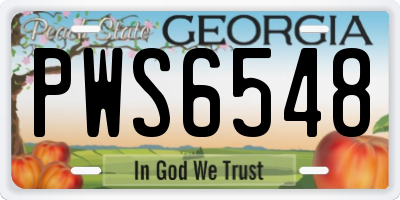 GA license plate PWS6548