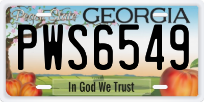 GA license plate PWS6549