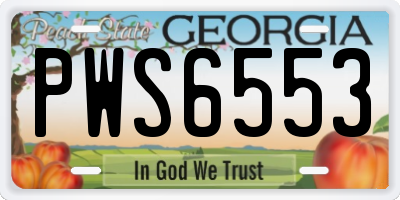 GA license plate PWS6553