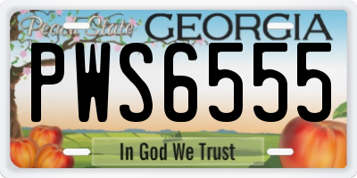 GA license plate PWS6555