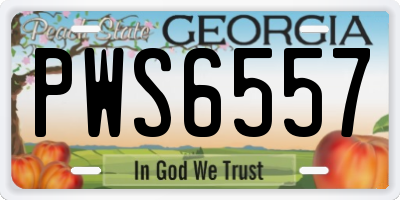 GA license plate PWS6557