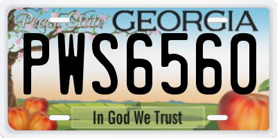 GA license plate PWS6560