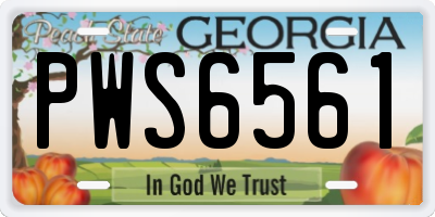 GA license plate PWS6561