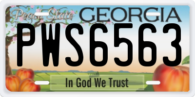 GA license plate PWS6563