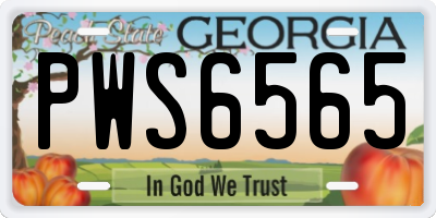 GA license plate PWS6565