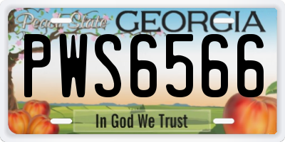 GA license plate PWS6566