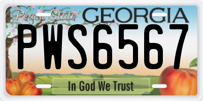 GA license plate PWS6567