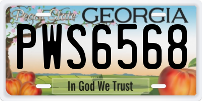GA license plate PWS6568