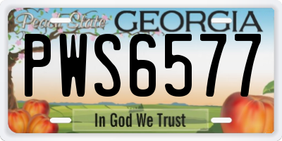 GA license plate PWS6577
