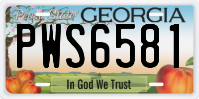 GA license plate PWS6581