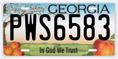 GA license plate PWS6583
