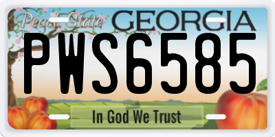 GA license plate PWS6585