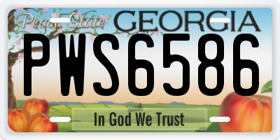 GA license plate PWS6586