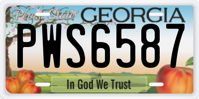 GA license plate PWS6587