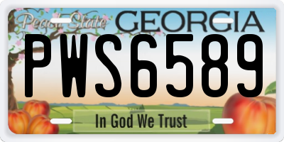 GA license plate PWS6589