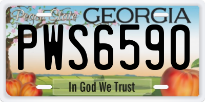 GA license plate PWS6590