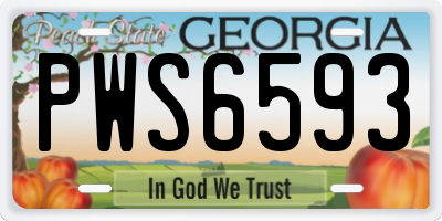 GA license plate PWS6593