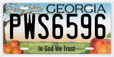 GA license plate PWS6596