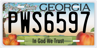 GA license plate PWS6597