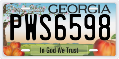 GA license plate PWS6598