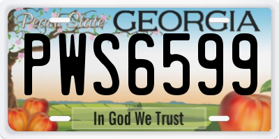GA license plate PWS6599
