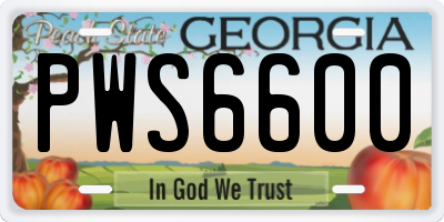 GA license plate PWS6600